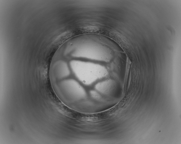 X0000111860745200907231452