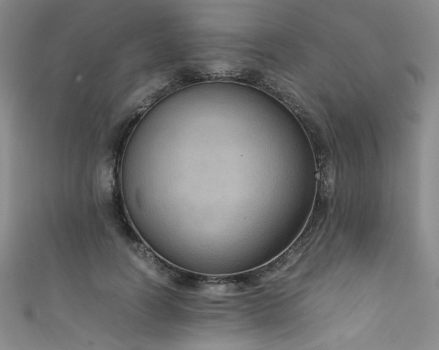 X0000111860746200907231452