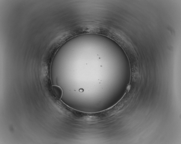 X0000111860748200907231452