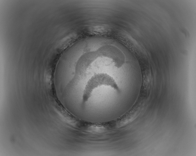 X0000111860749200907231452