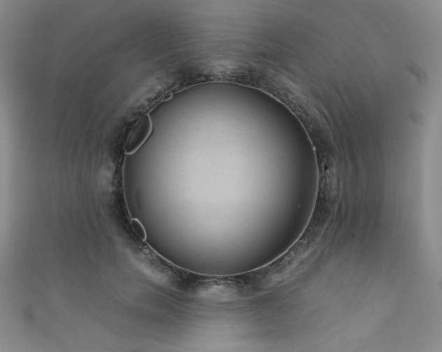 X0000111860750200907231452