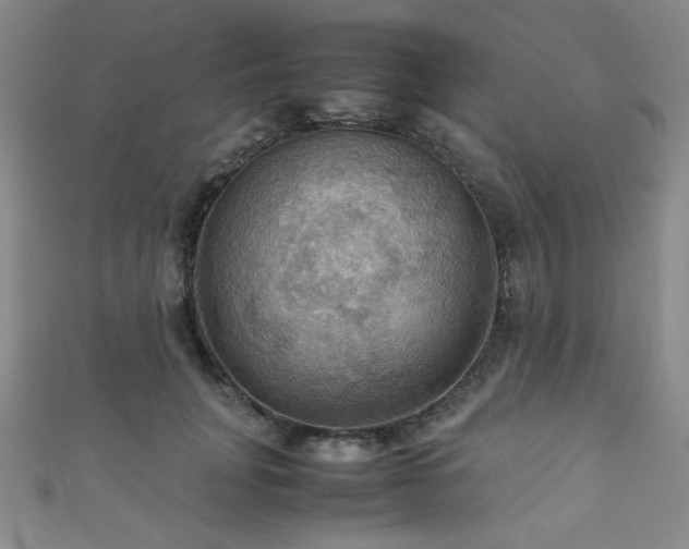 X0000111860751200907231452
