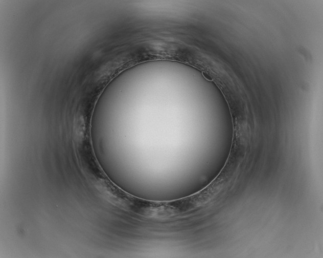 X0000111860752200907231452