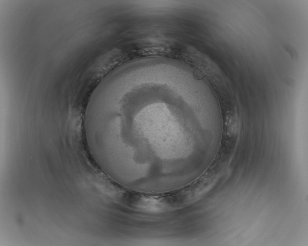 X0000111860753200907231452