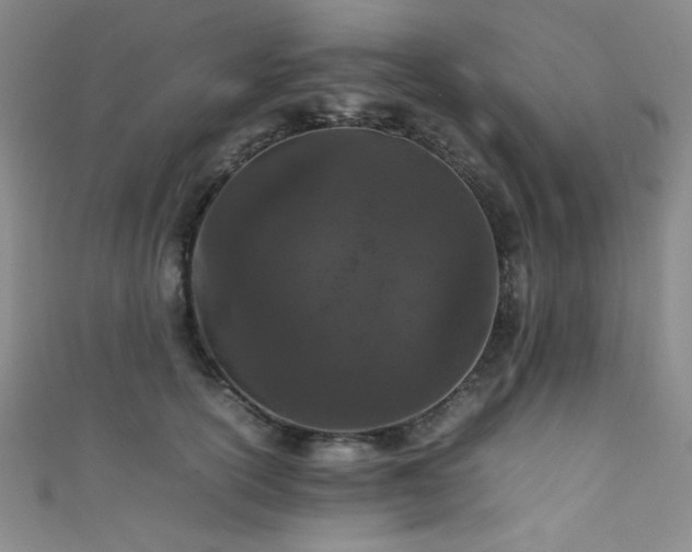 X0000111860754200907231452