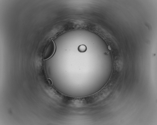 X0000111860756200907231452
