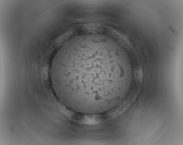 X0000111860757200907231452