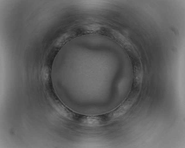 X0000111860758200907231452