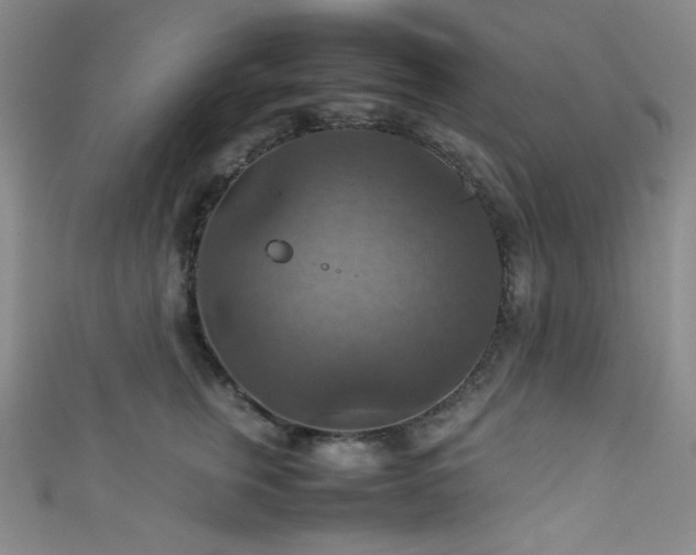 X0000111860759200907231452