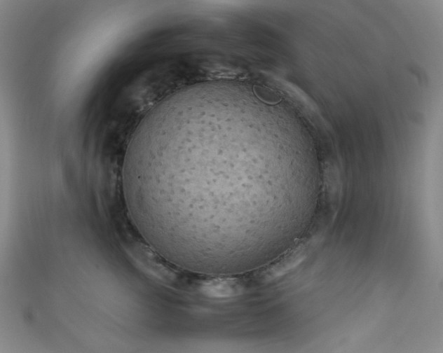X0000111860761200907231452