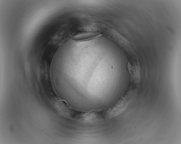 X0000111860762200907231452