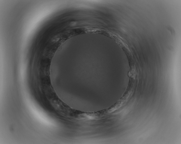 X0000111860763200907231452