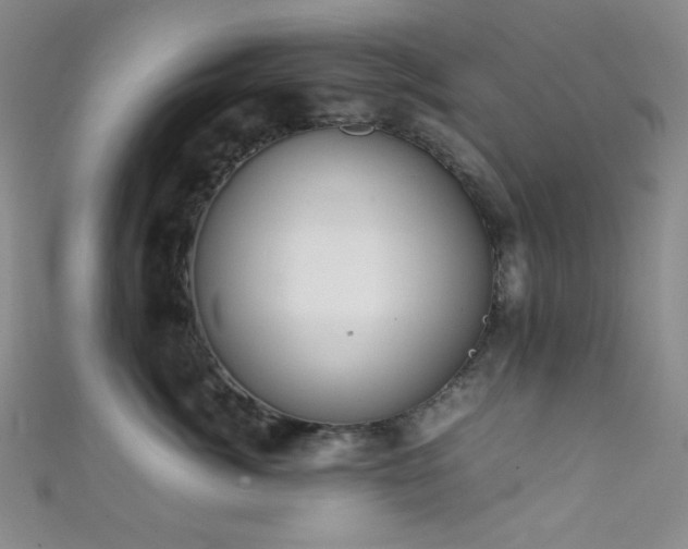 X0000111860764200907231452