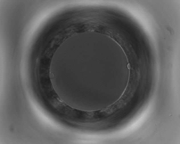 X0000111860767200907231452