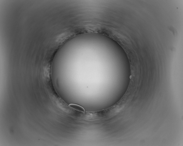 X0000111860768200907231452