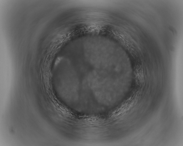 X0000111860769200907231451