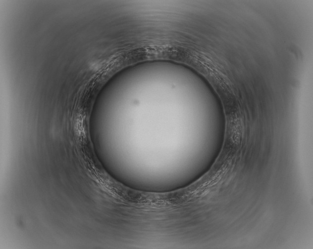 X0000111860770200907231451