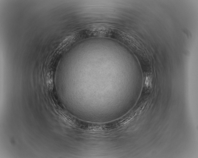 X0000111860771200907231451