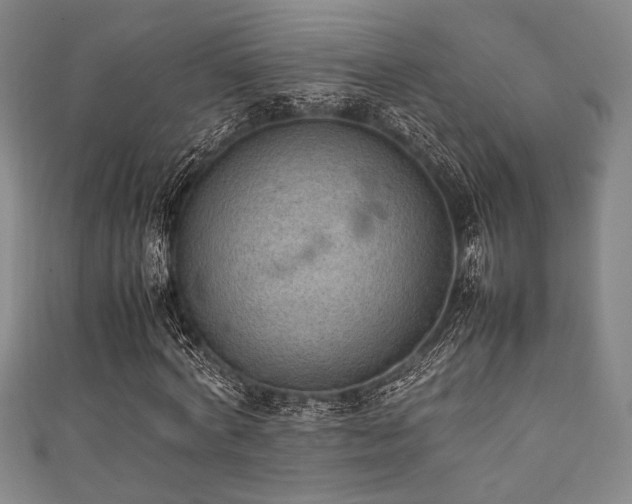 X0000111860772200907231451