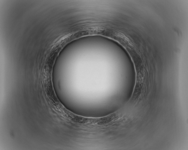 X0000111860773200907231451
