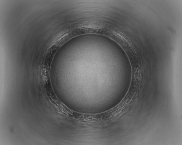 X0000111860774200907231451