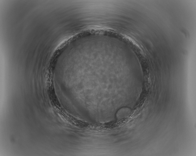 X0000111860775200907231451