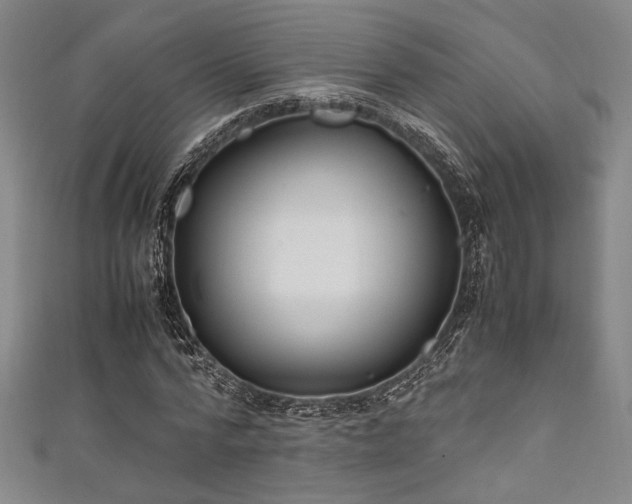 X0000111860776200907231451