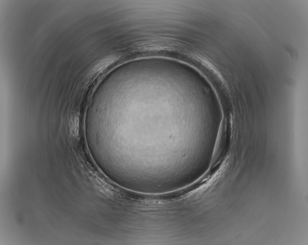 X0000111860777200907231451