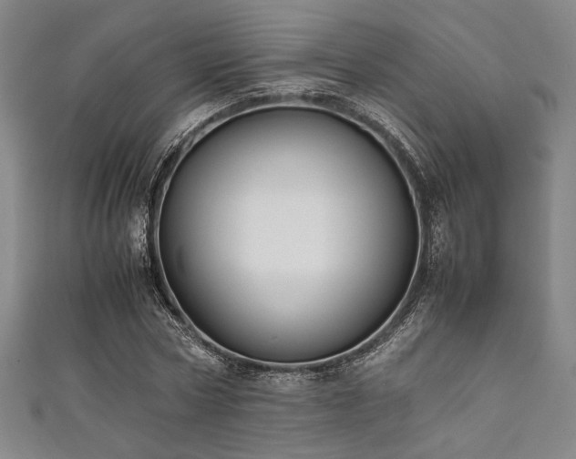X0000111860778200907231451