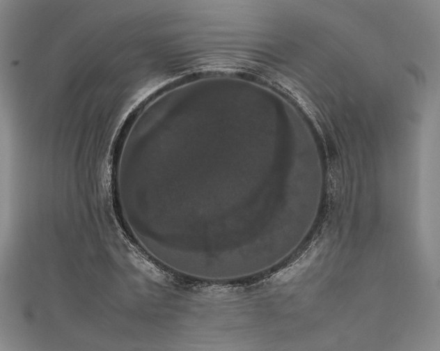 X0000111860779200907231451