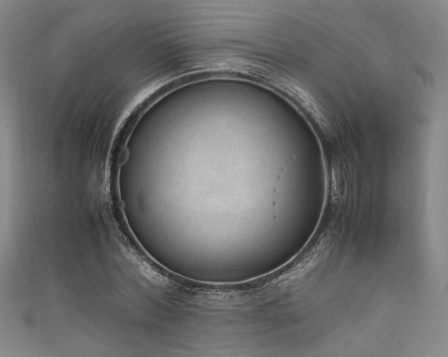 X0000111860780200907231451