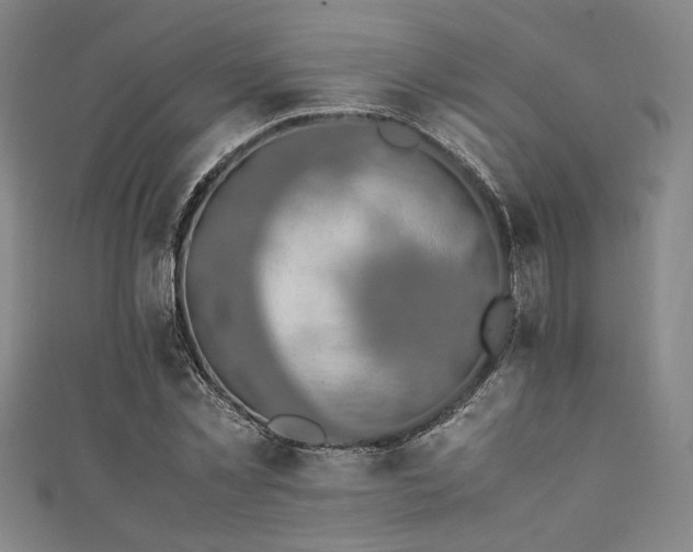 X0000111860781200907231451