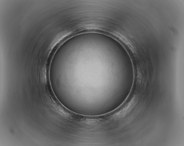 X0000111860782200907231451