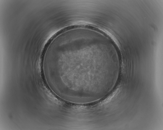 X0000111860783200907231451