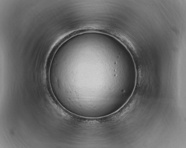 X0000111860784200907231451