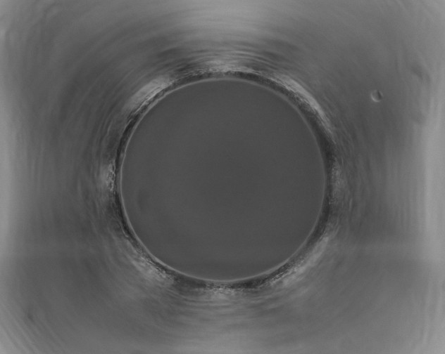 X0000111860785200907231451