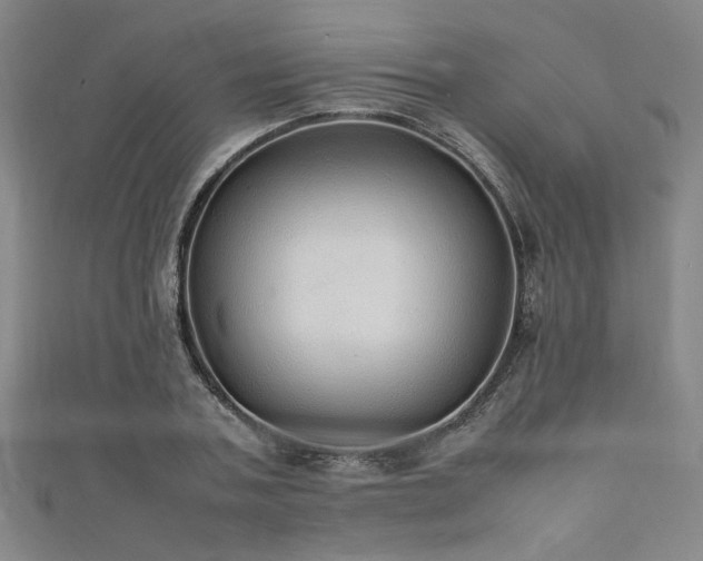 X0000111860787200907231451