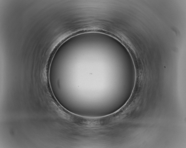 X0000111860789200907231451