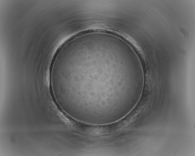 X0000111860791200907231451