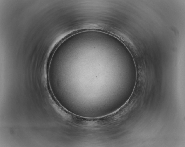 X0000111860792200907231451