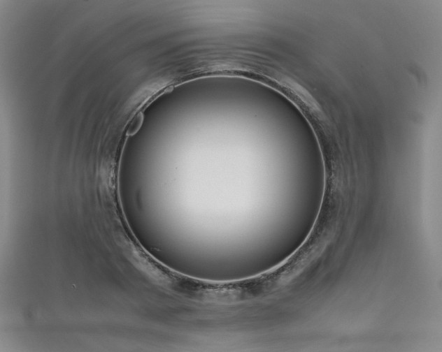 X0000111860793200907231451