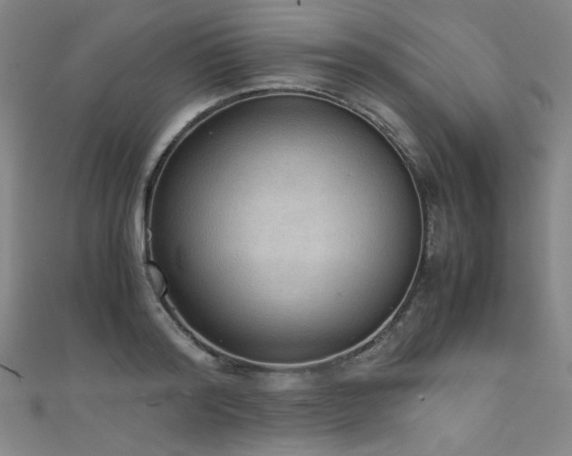 X0000111860796200907231451