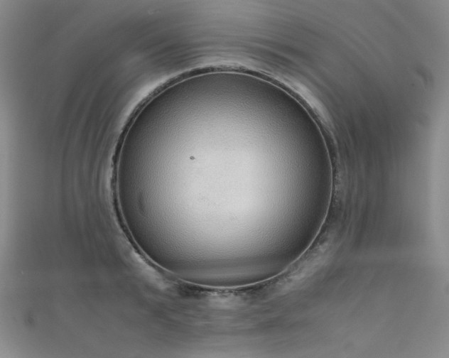 X0000111860799200907231451