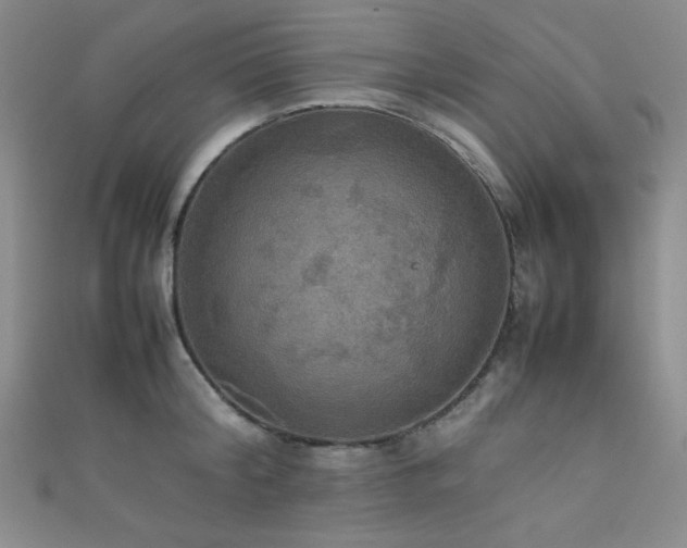 X0000111860804200907231451