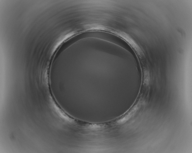 X0000111860806200907231451