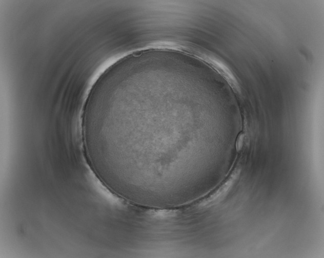X0000111860808200907231451