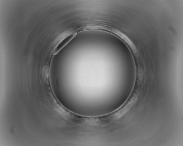 X0000111860809200907231451