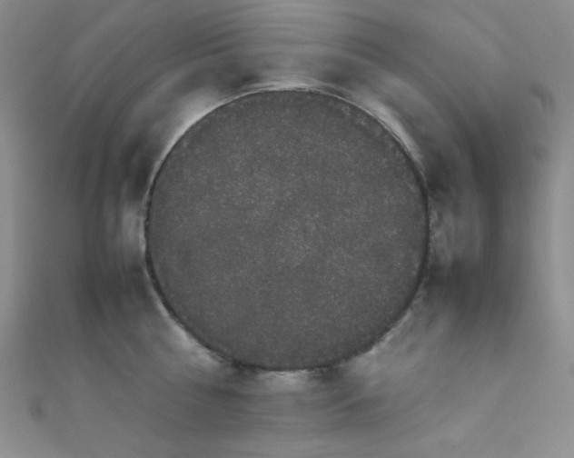 X0000111860810200907231451
