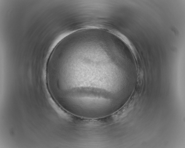 X0000111860811200907231451