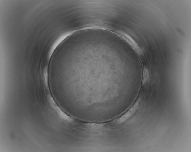 X0000111860812200907231451